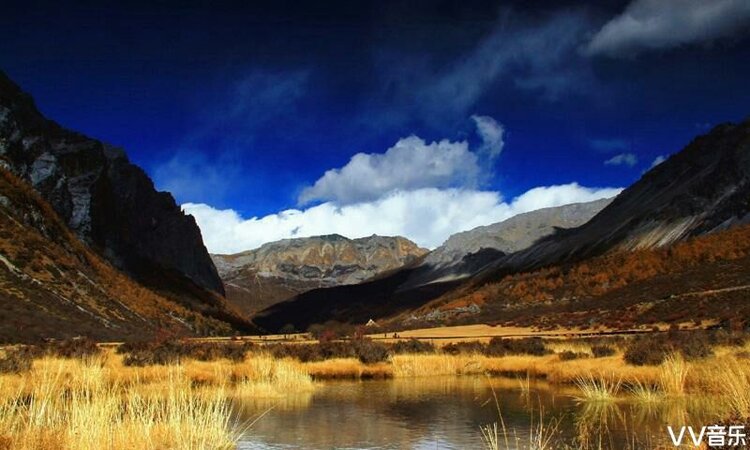 蓝鸟在飞【西部诗坛】族长