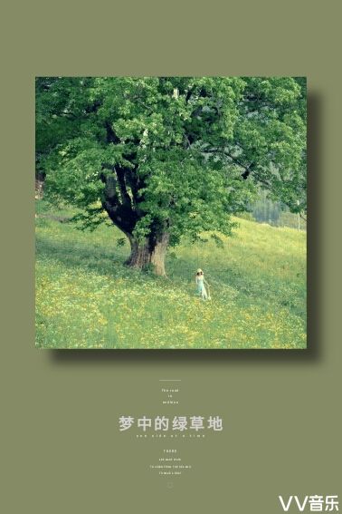 云迹