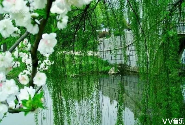 石上清泉