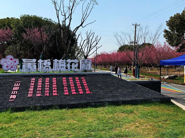 王雪峰（山东）