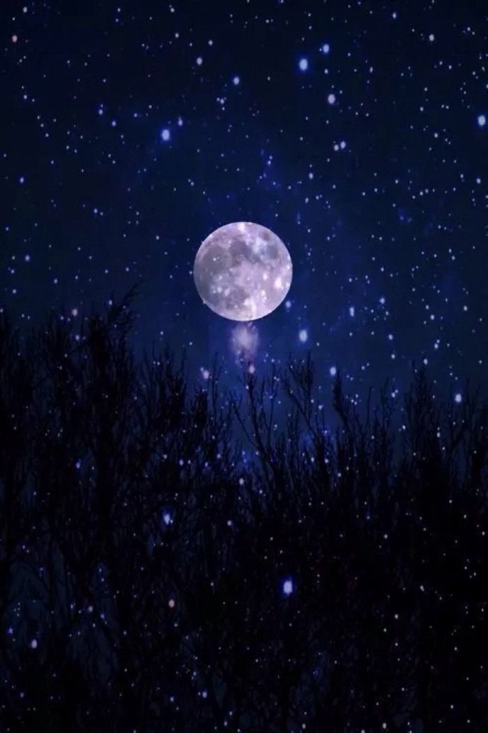 是而非更适合衡量人世间爱的份量天上的许多法则月光就会落在夜瞳所以