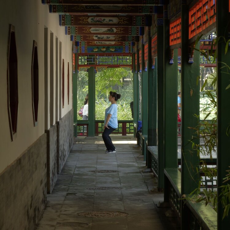 含洋