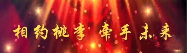 桃李文化传媒