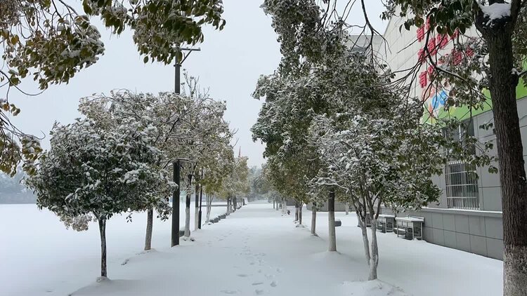 萧锋中醫