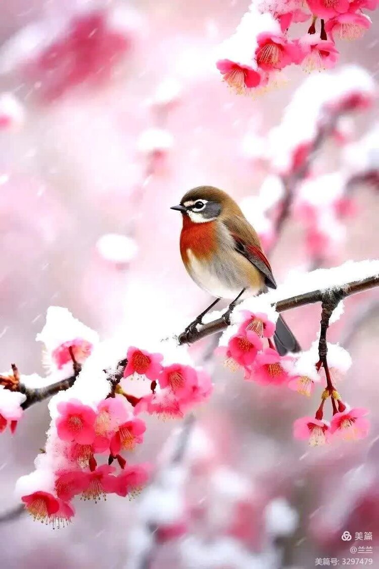 萧锋中醫