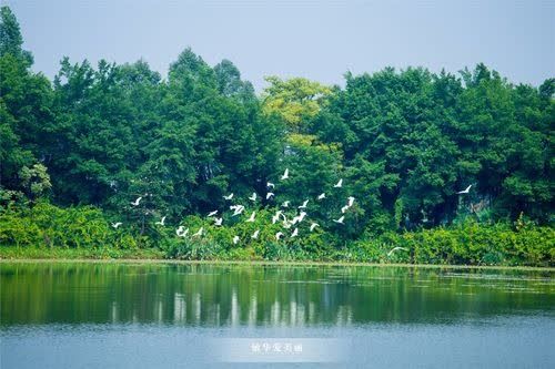 萧锋中醫