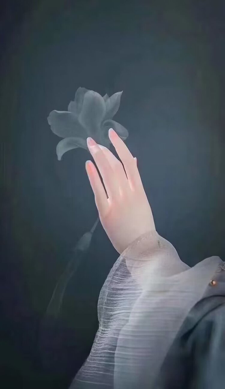 萧锋中醫