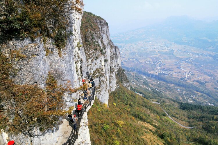 高粱