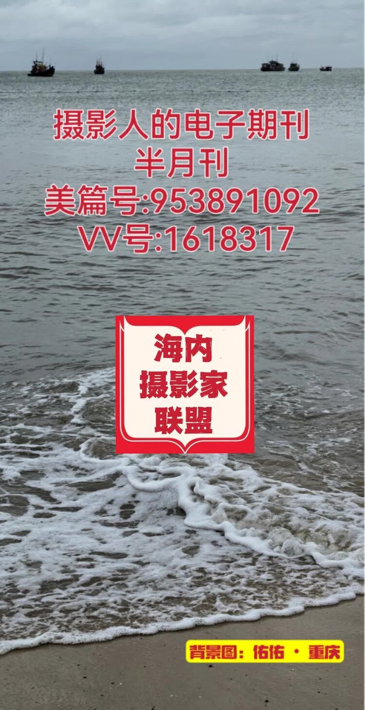 佑佑