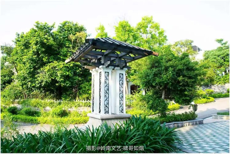 美摄《九图联盟》