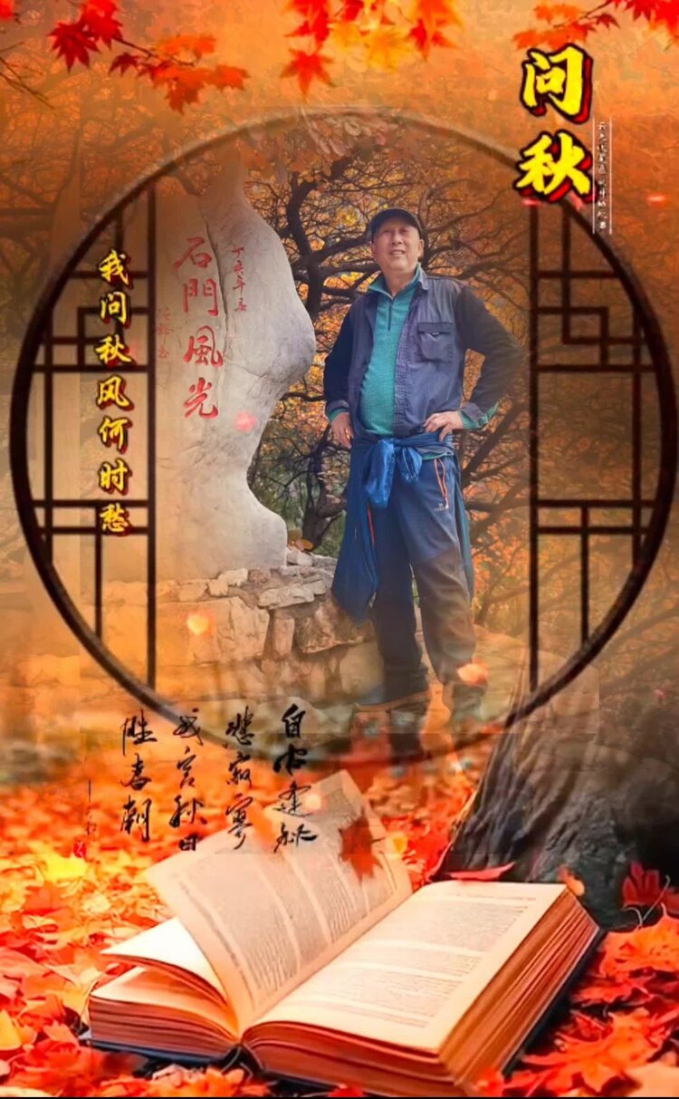 踏遍青山