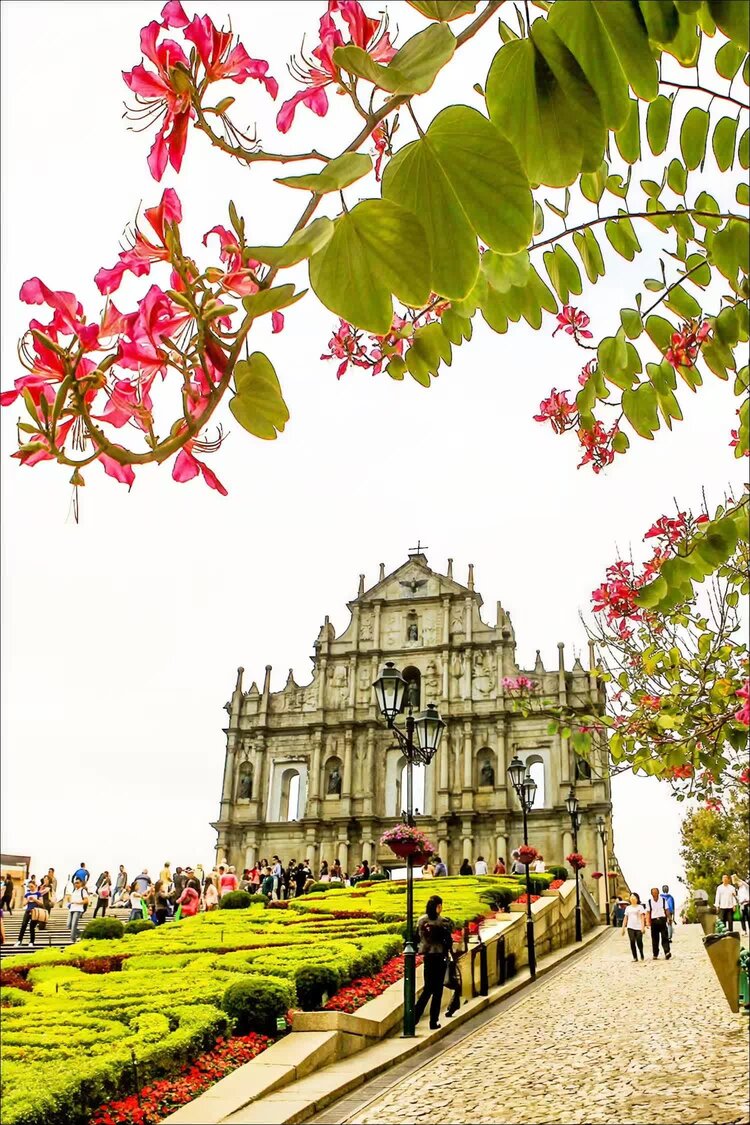 美摄《九图联盟》