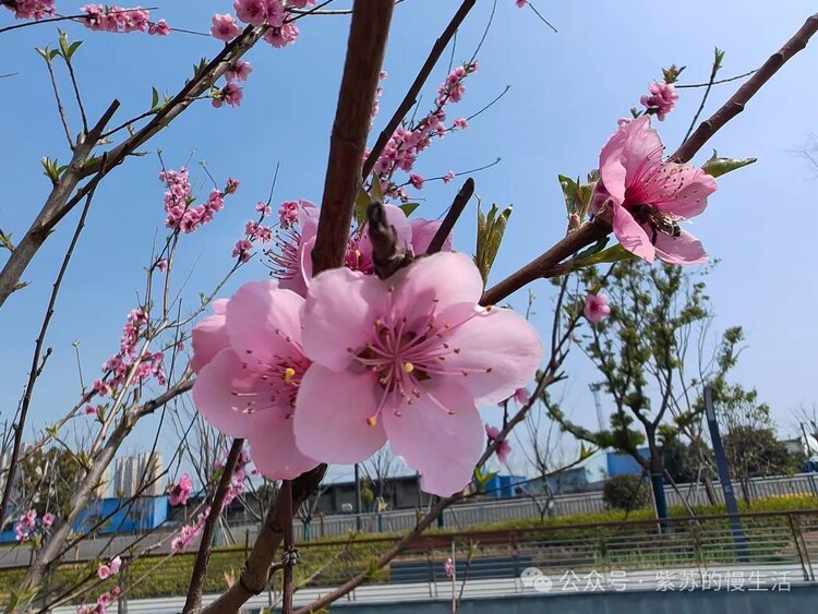 风雨兼程