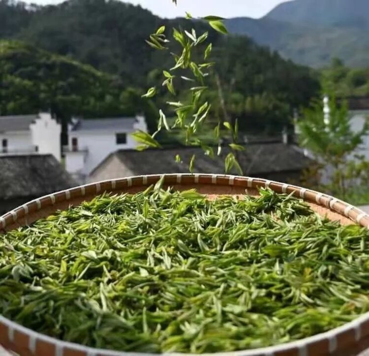 婺源长溪村村长戴向阳