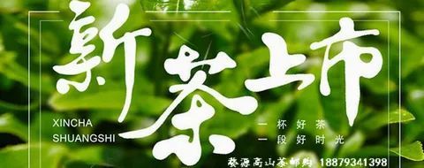 婺源长溪村村长戴向阳