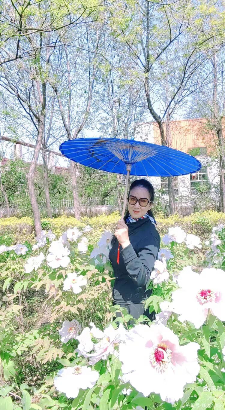 陈  部  （西窗剪烛）