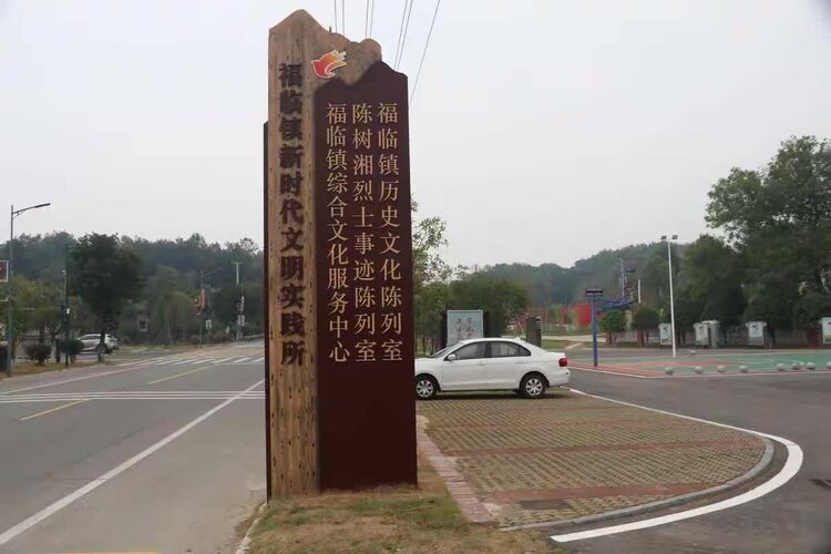常青藤