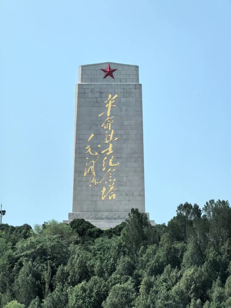 羊乳老兵王伟民