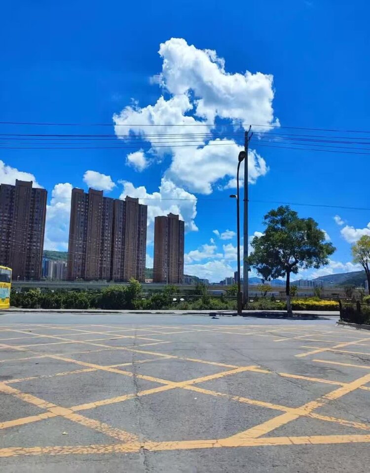 潇红