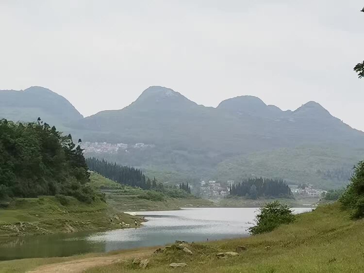 任兴中