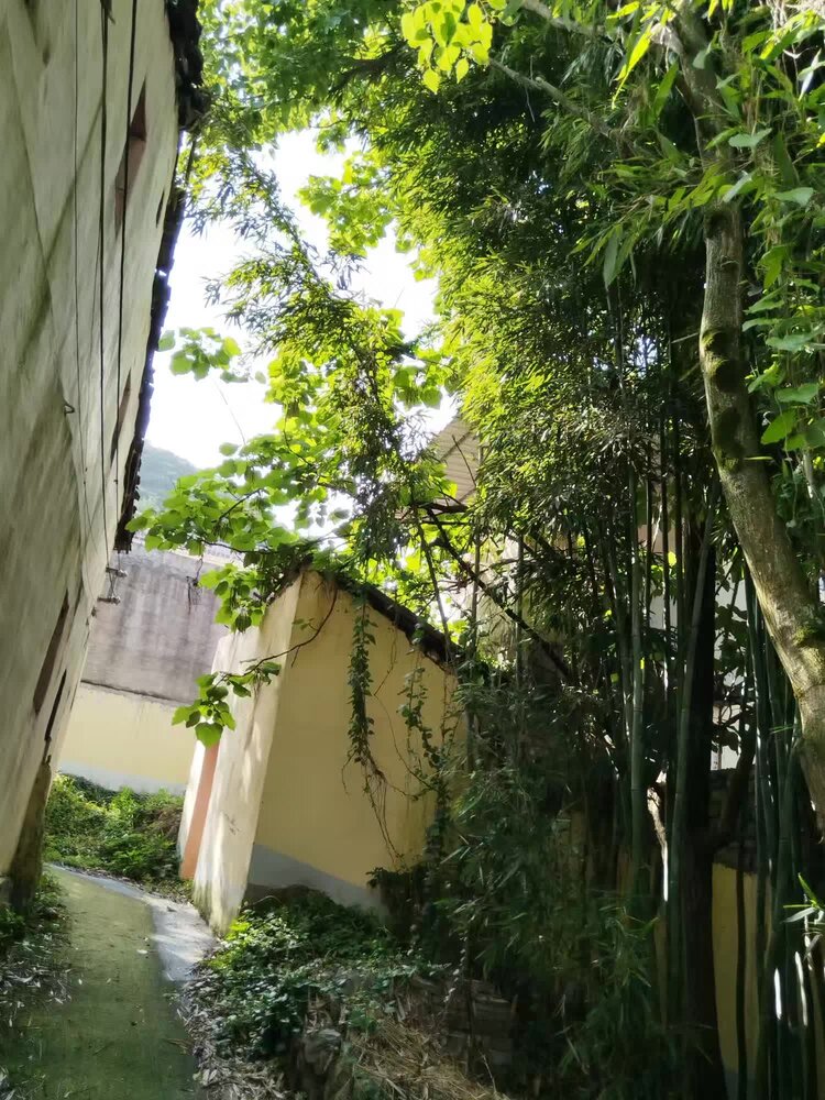 任兴中