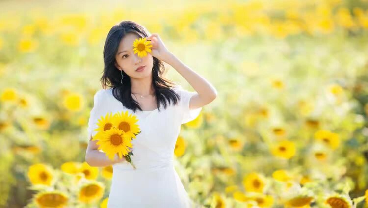 美摄《九图联盟》