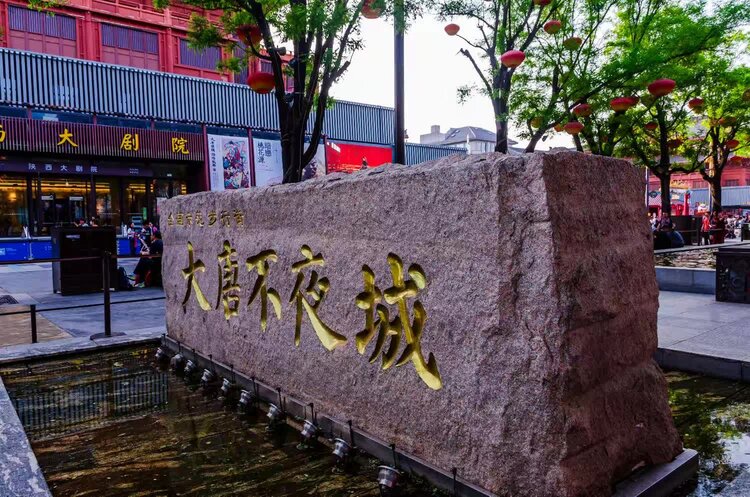 大榕树【美摄视界】