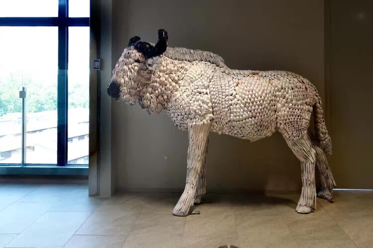 牛牛【美摄视界】