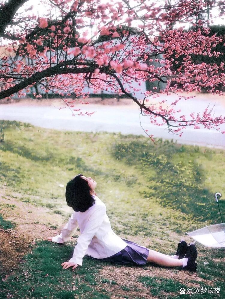 萧锋中醫