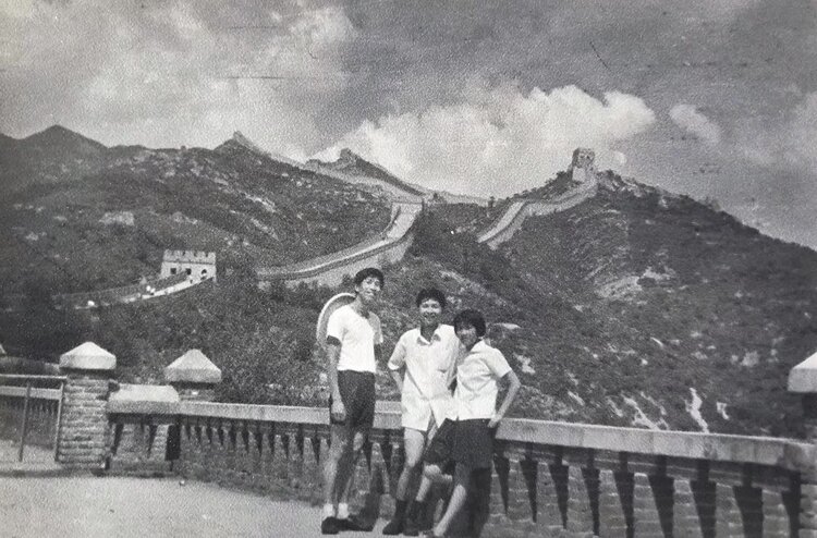 踏遍青山