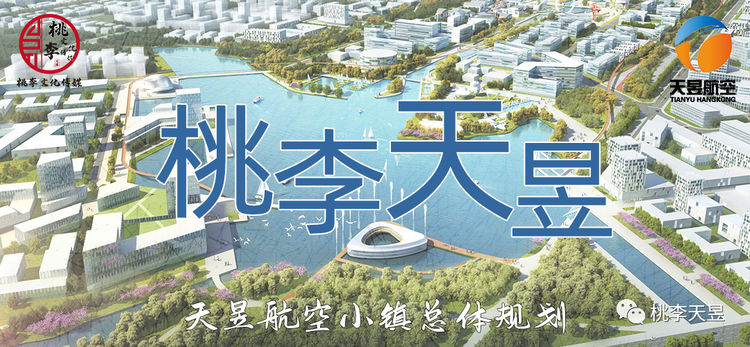 桃李文化传媒