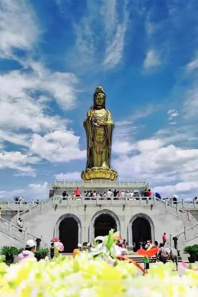 西窗菊儿【西窗剪烛】族长