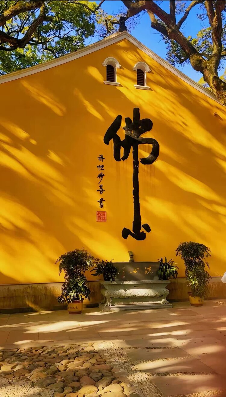 西窗菊儿【西窗剪烛】族长