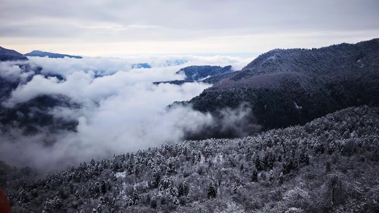 土魂竹韵【美摄视界】