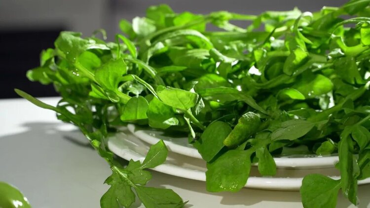 🍁金枝玉叶🍁歌房回礼