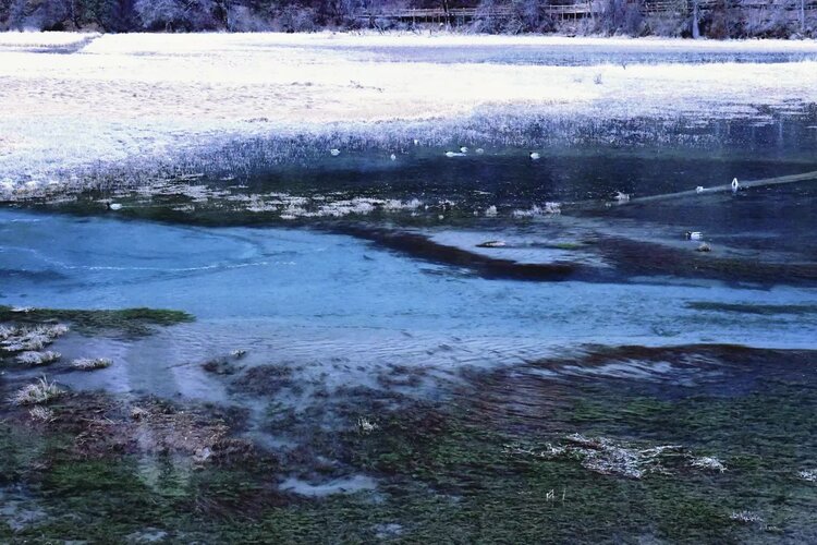 兔侠【文声汇影】