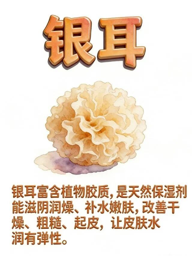 🍁金枝玉叶🍁歌房回礼