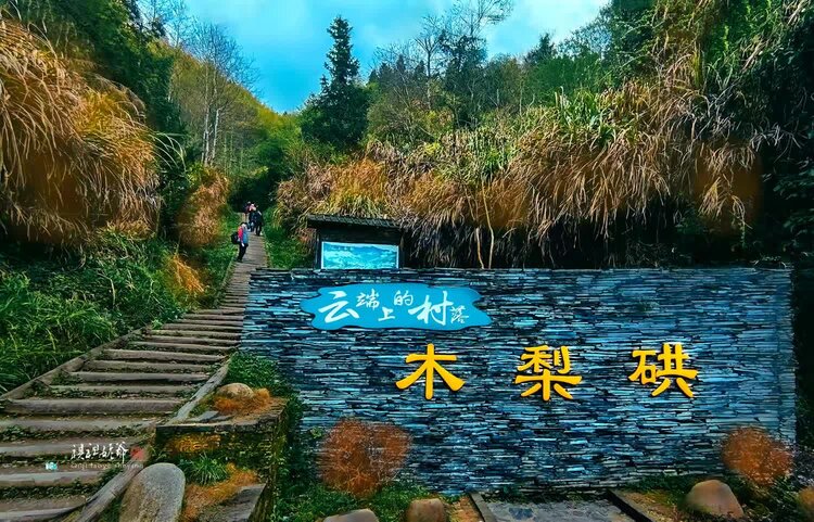 曹大林《美摄群主》