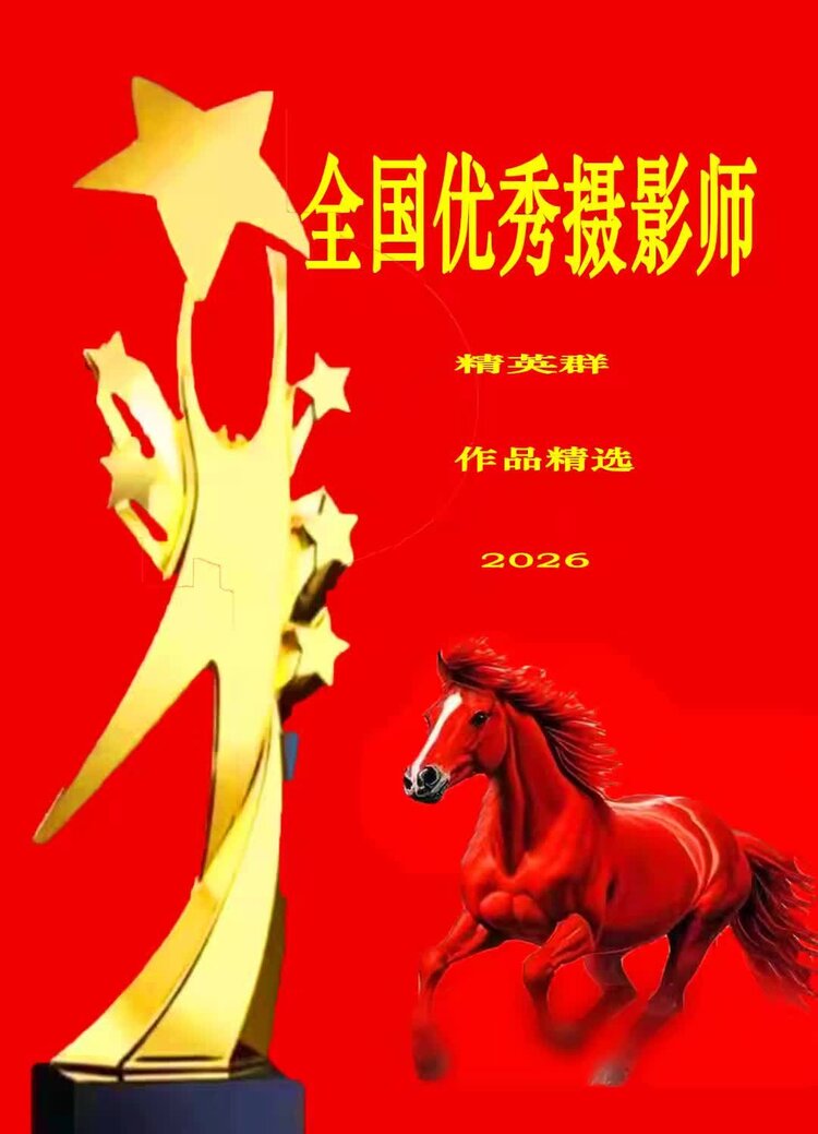 老芳
