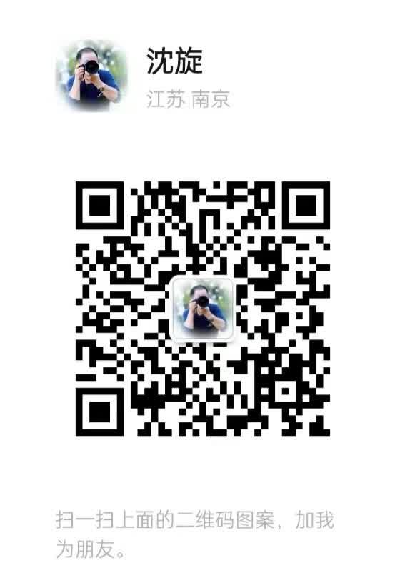 沈旋