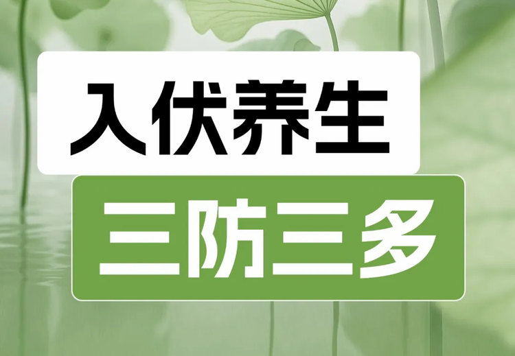 🍁金枝玉叶🍁歌房回礼