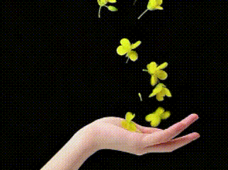 💎舞动光影💎