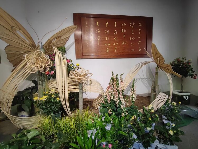 一吨阿婆【爱花家园】