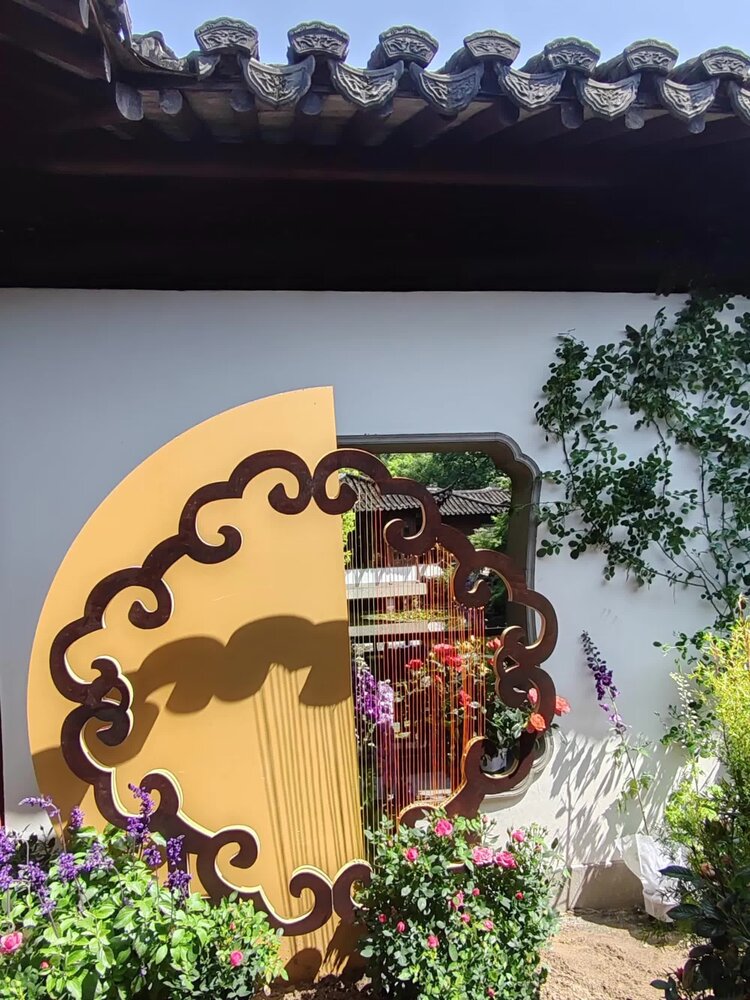 一吨阿婆【爱花家园】