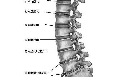 朱梓升